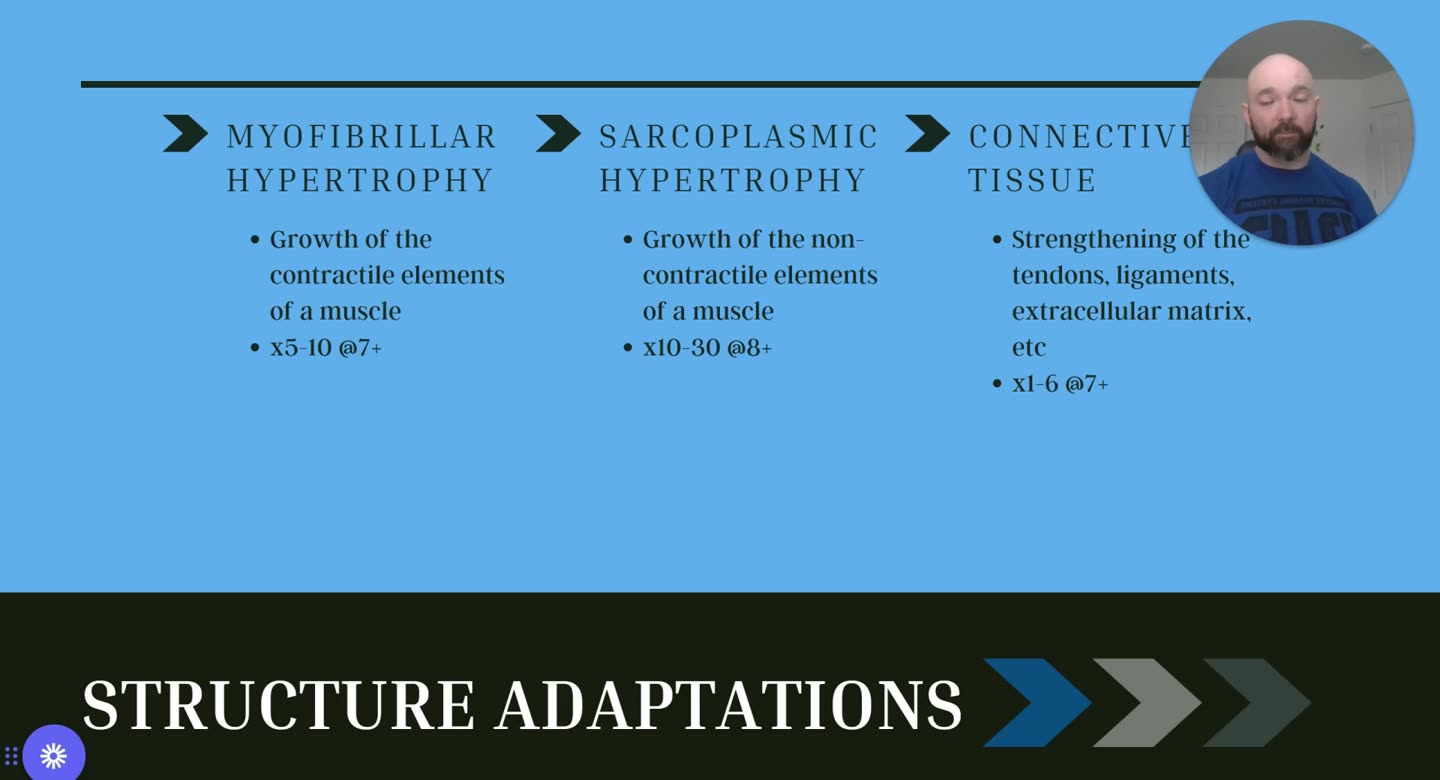 Folie Structure Adaptations: Myofibrillar Hypertrophy, Sarcoplasmic Hypertrophy, Connective Tissue