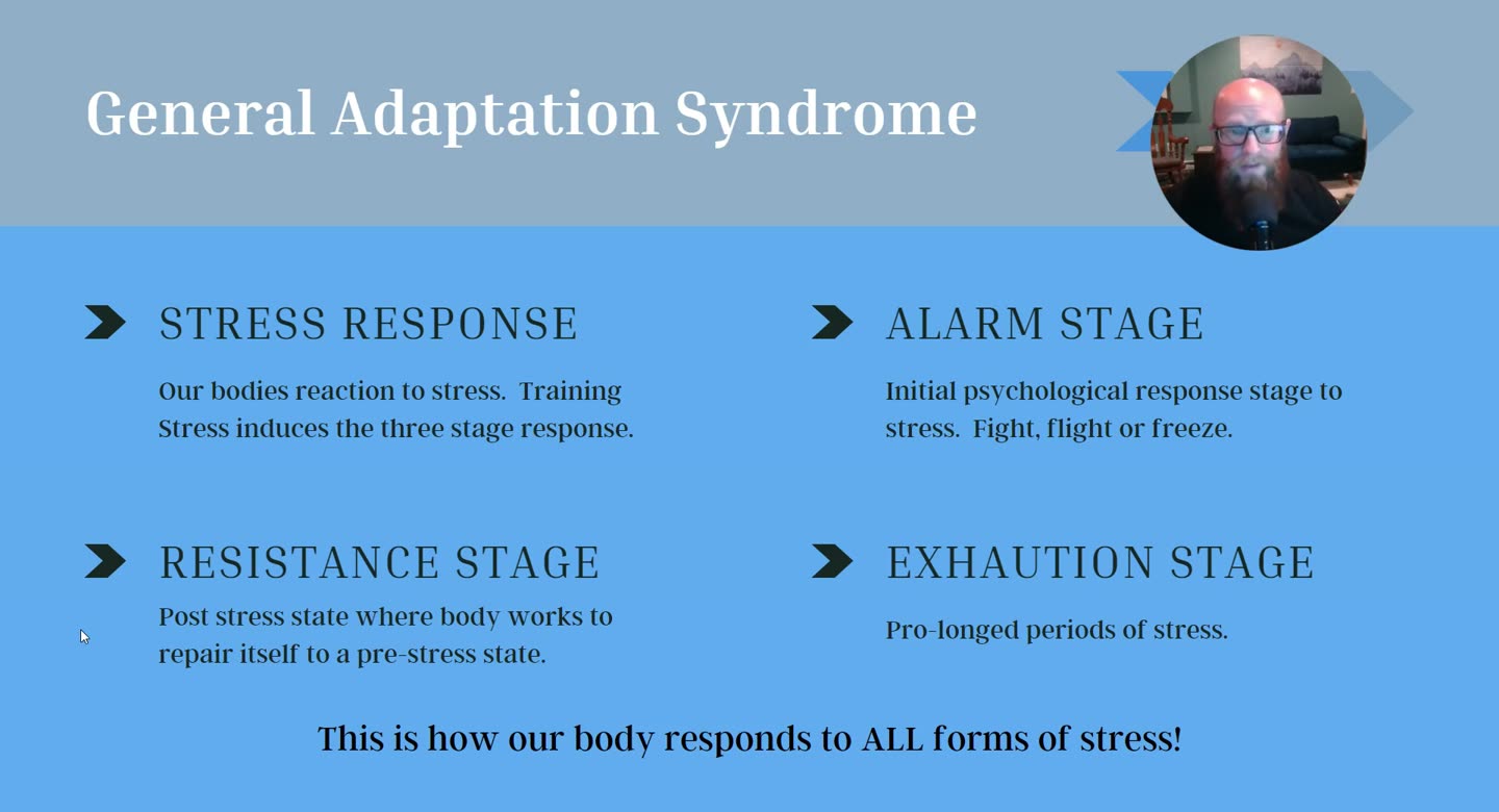 Folie General Adaptation Syndrome mit Stress Response, Alarm Stage, Resistance Stage und Exhaustion Stage