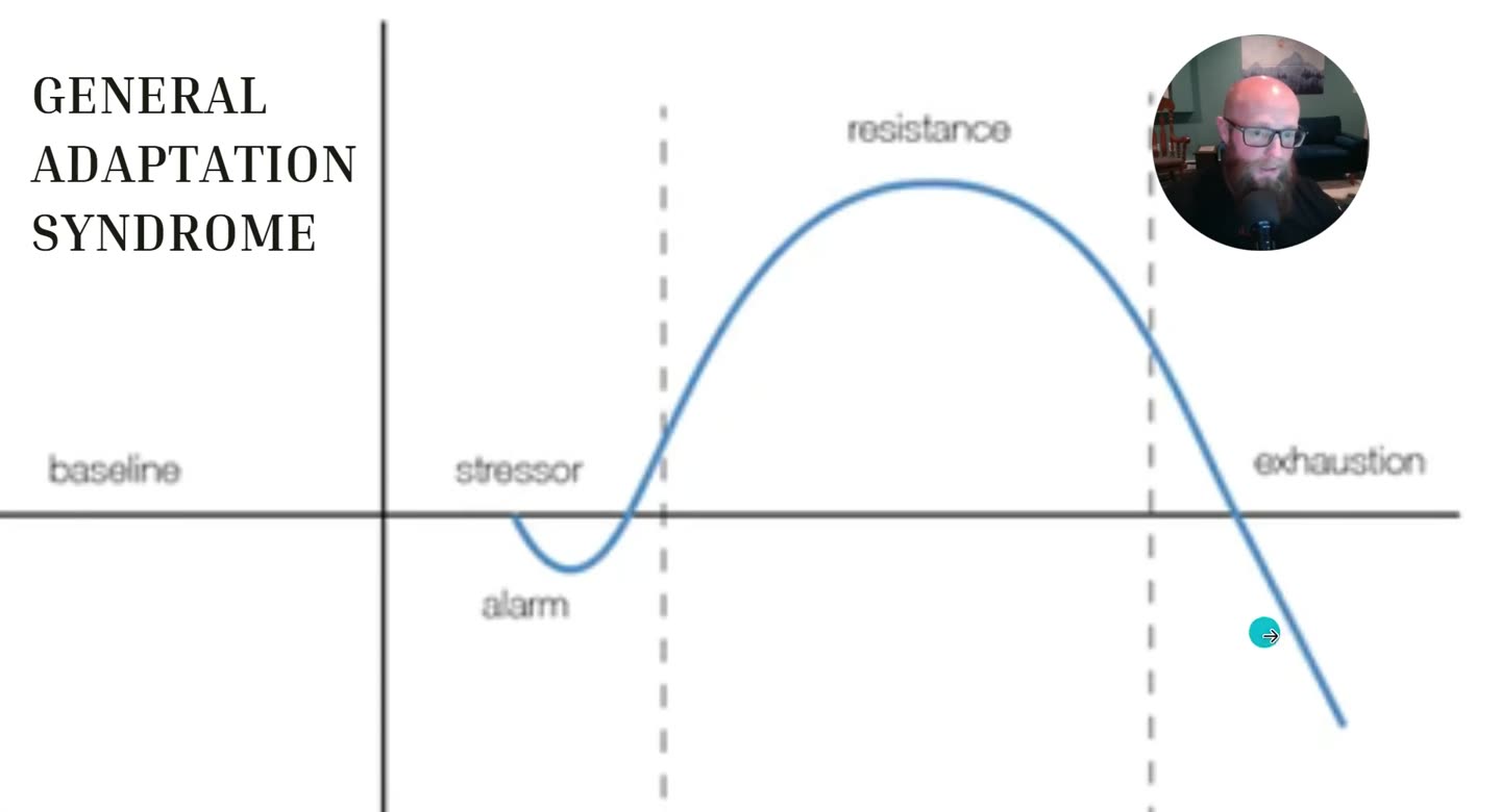 Kurve des Allgemeinen Anpassungssyndroms mit baseline, stressor, alarm, resistance und exhaustion